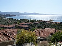 foto 239